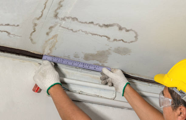 Reliable Mold Remediation contractor in Deep Run, NC by Water Damage Irwin